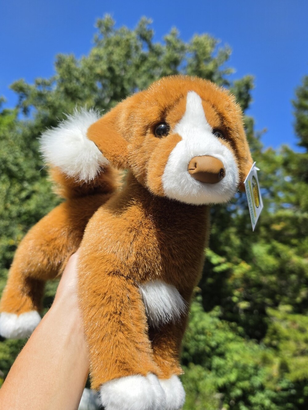 Bass Pro Shops Duck Tolling Retriever Stuffed Dog By Douglas
